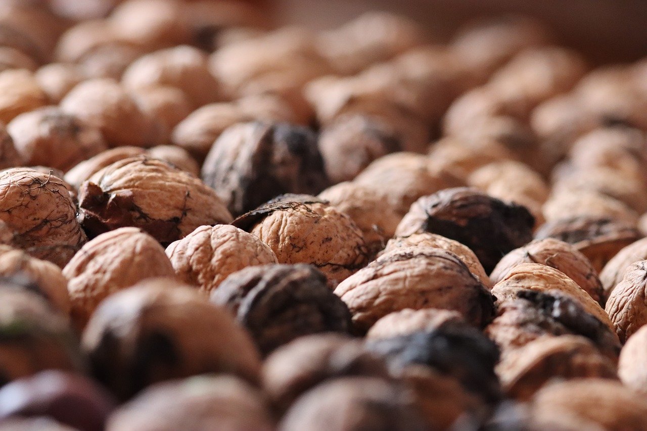 方盒欧盟七星蓝莓：借有道详情下载教程app