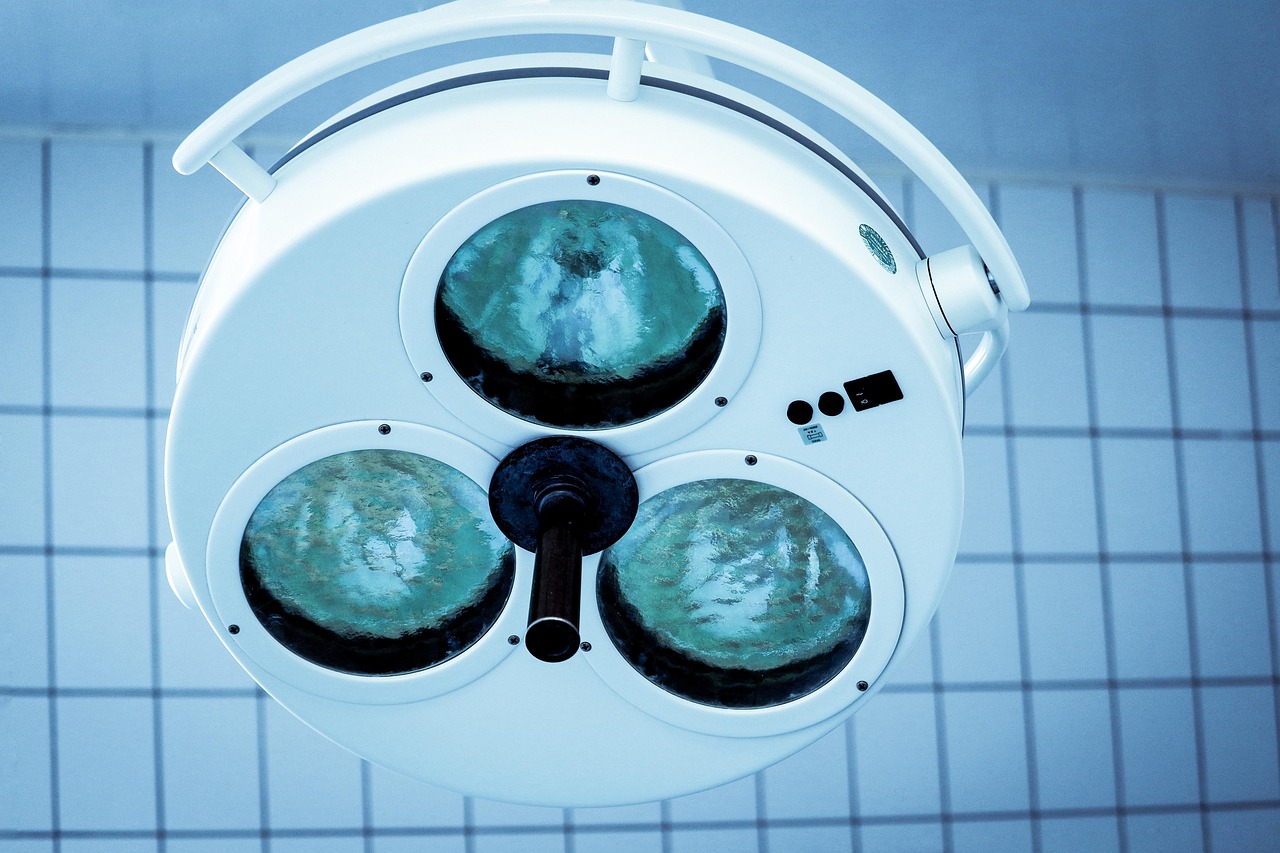 剑灵:美食招代理平台