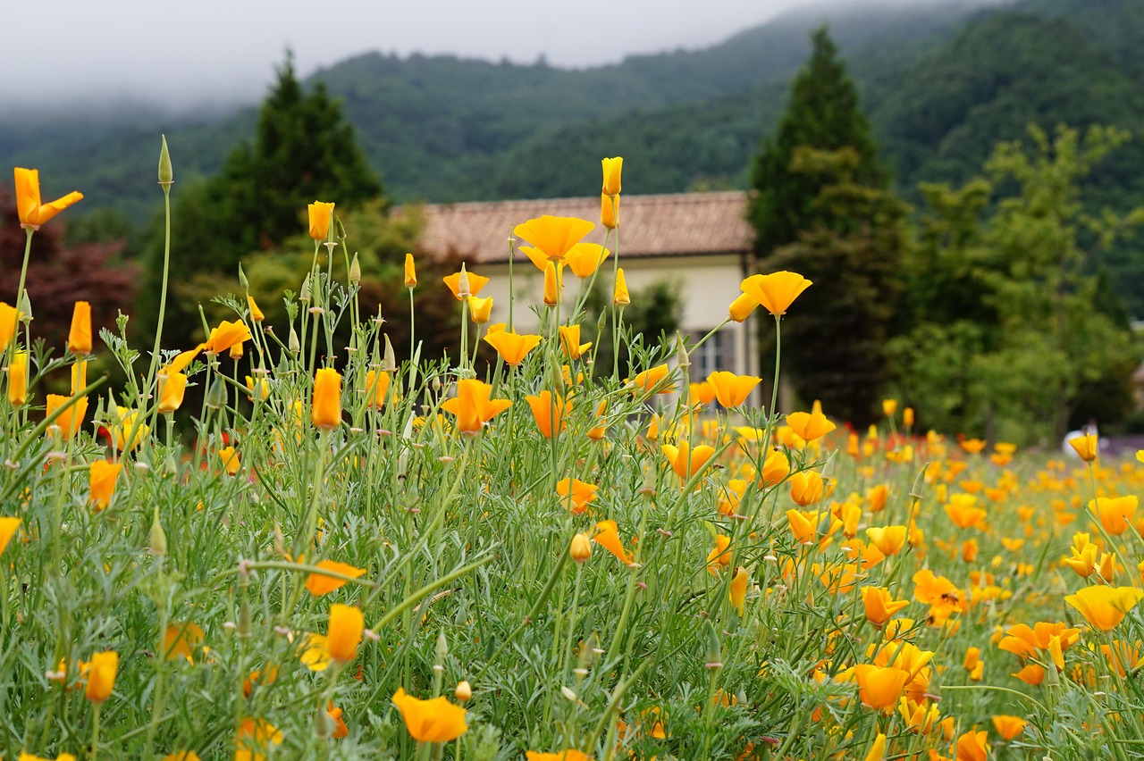 天龙3D：乐清个人代理会计企业注册