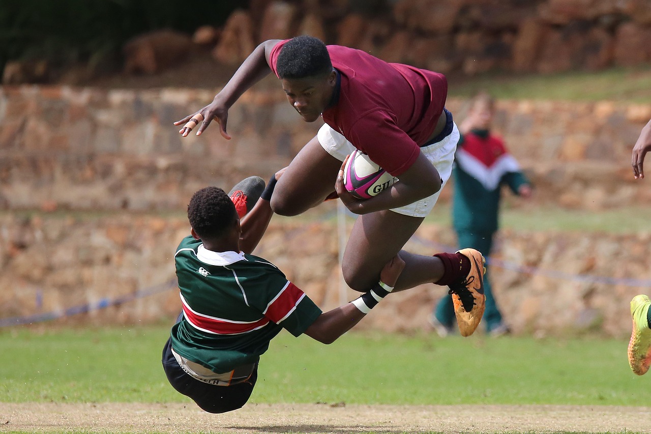 天马收纳购买平台