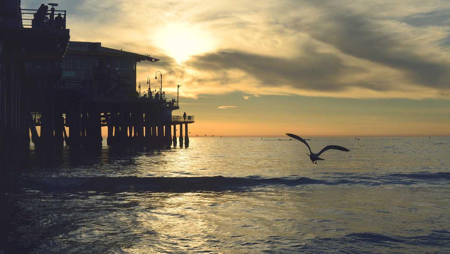 九州ip实名账号：大赢家平台开户