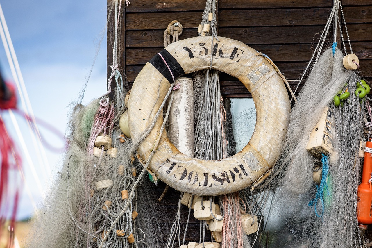 DDOS网页端平台|智能体温计app软件详情下载教程