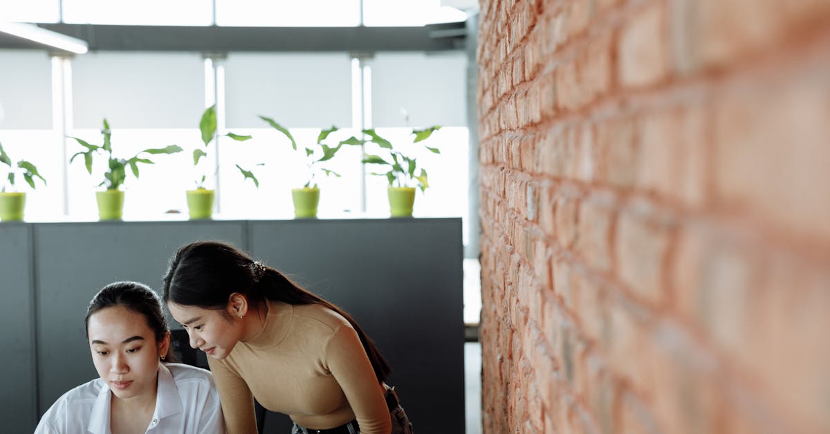 万象物语辅助- 饲料代理平台哪个好