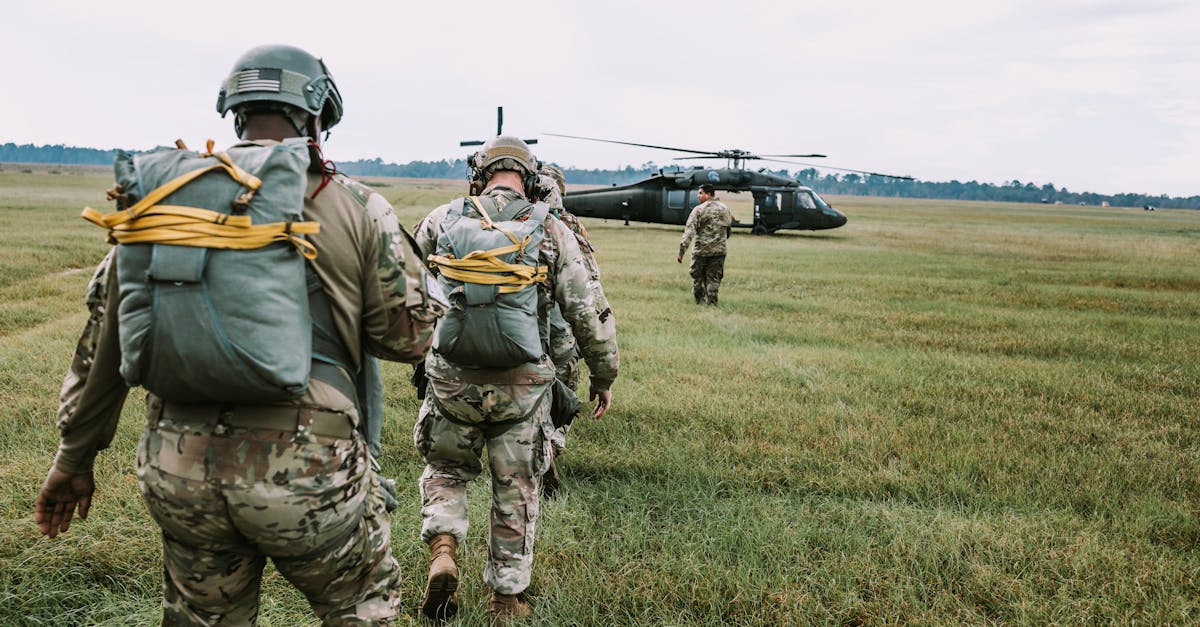 国外ddos攻击页端|荔浦宠物购买平台