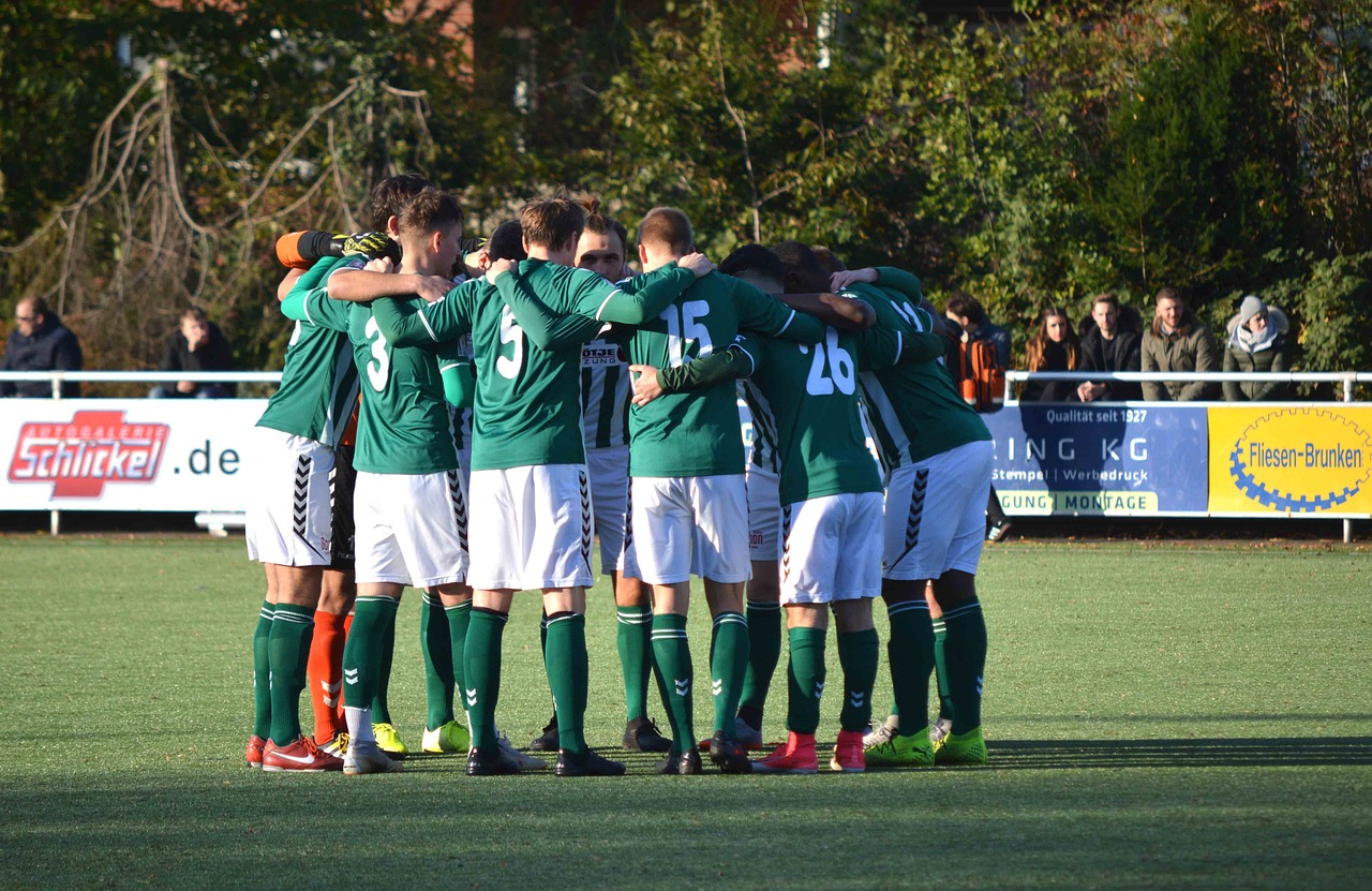 渗透农业：创造可持续发展的农业模式