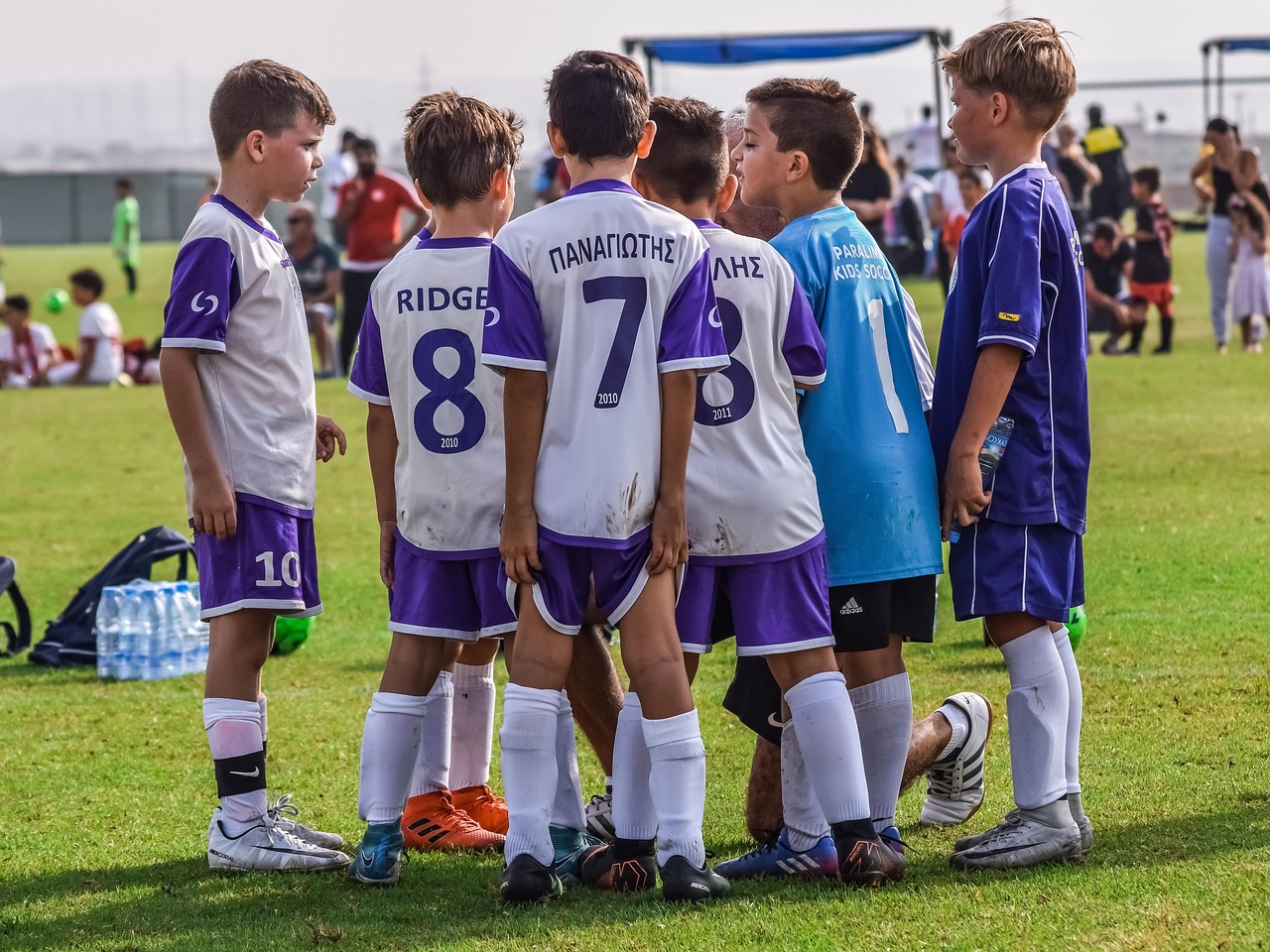 DDOS attack|app此时无法详情下载教程